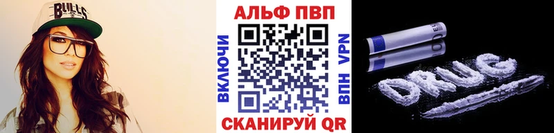 A PVP СК  Майкоп 