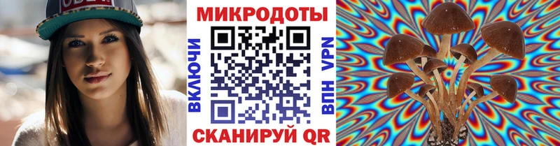 Галлюциногенные грибы Psilocybine cubensis  что такое   Майкоп 